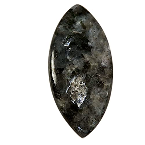 Pierre de lune naturelle Larvikite cabochon 43,75 carats minéral de collection