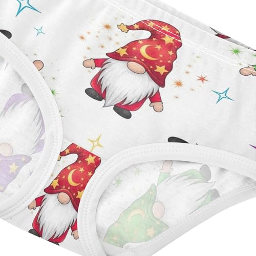 Toddler Girls Underwear 2t Cotton Cute Panties Girl Fun Print Kids Undies Briefs Colorful Gnomes St4