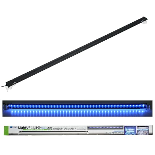  CgAbv SLIM } 900 ubN 90-100cmp