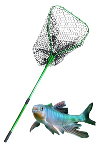 Minogo Ƃ fBOlbg ^ ^  a A~jEf Lk VRbV  y ^тȒP p ω׏d k D C  ނ H ʖ Gr AEghA gݗĂȒP 