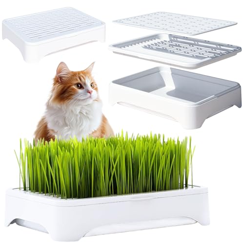 YjiaYjiaY 2-Pack Cat Grass Planter (No Seeds Included) Tri-Section Design Anti-Pull Out Cat Grass Seed Starter Tray Sprouts Growing Kit Microgreens Growing Trays