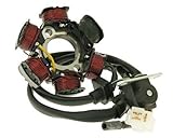 Neue Lichtmaschine passend für PGO. Bitte vor der Bestellung unbedingt die Anschlüsse überprüfen! passend für: PGO Big Max 50 AC, PGO Hot 50 AC, PGO PMX 50 AC, PGO T-Rex 50 AC, PGO Tornado 50 AC