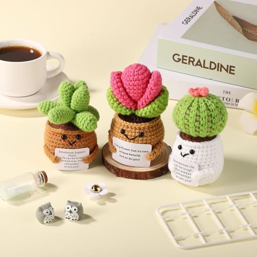 3pcs Positive Crochet Potted Plants, Positive Cactus Positive Crochet Succulent Crochet Cactus Knitted Succulent Positive Plants Crochet for Party Decoration Encouraging Gift - 3