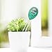 iPower 3-in-1 Soil Test Kit, Soil Moisture/Light/pH Meter for House Plant, Garden, Lawn, Farm, Ideal for Indoor & Outdoor Use