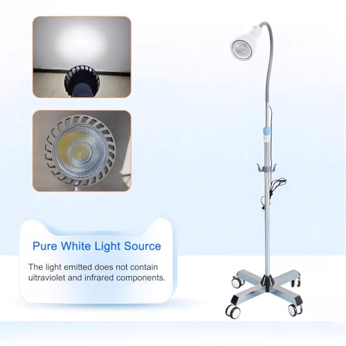 Lampe d'examen chirurgicale à LED mobile et orientable sur pied