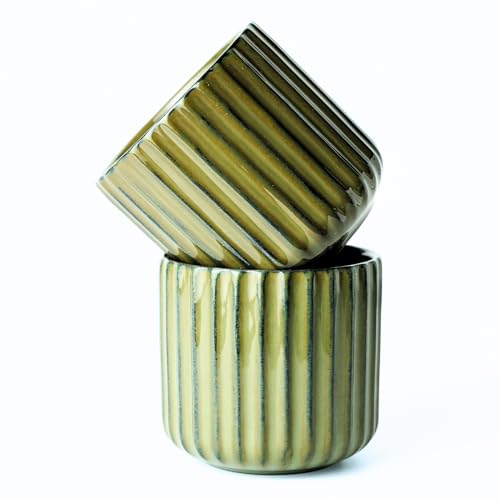 Erkundpresso. Espresso Cup Set 2x180ml, Thick-Walled Handleless Ceramic Cups, Heat-Retaining Scald-Proof, BPA-Free Kiln-Glazed for Espresso/Cappuccino, Unique Vintage Design - Lake Green