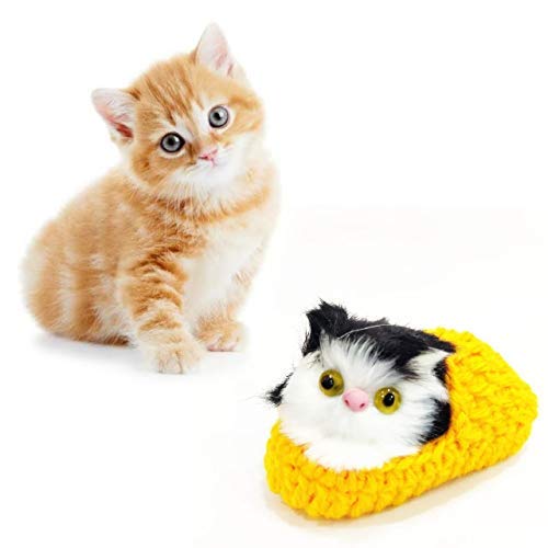 PSK PET MART Cat in Socks Fur Interactive Toys for Cat/Kitten Color May Vary. (B08F48123W) Amazon Price History, Amazon Price Tracker