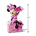 Hallmark Keepsake Christmas Ornament 2018 Year Dated, Disney Minnie Mouse Snappin' a Selfie