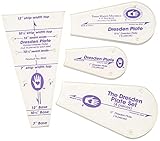 Perfect Patchwork Template-Dresden Plate, Package of Four