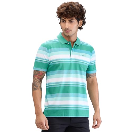 Image of Colorplus Men's Classic Fit Stripe Pattern Pure Cotton Half Sleeve Polo Neck Casual T-Shirt
