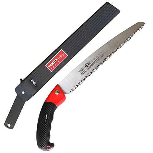 Best Saw For Cutting Tree Branches For 2024 A Nest With A Yard