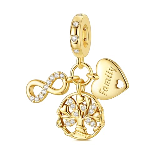 Hapour 925 de Plata de Ley Encantos para el Encanto Pulseras Collar Europeo Joyería Colgante Abalorios Encanto Cumpleaños Regalo para las Mujeres Niñas Mamá Hija
