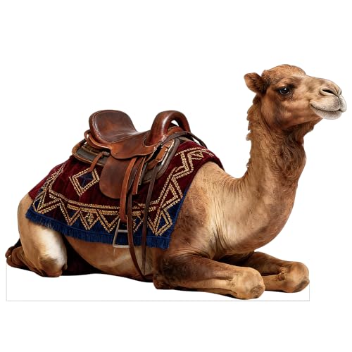 DP BOUTIQUE Nativity Camel 4FT Life Size Cardboard Cutout, Animal Photo Prop for Xmas, Holy Family...