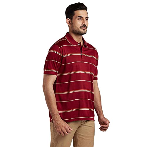Image of Color Plus Stripes Cotton Regular Fit Mens T-Shirt
