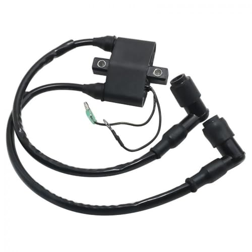 Bobine d'allumage pour réparer le démarrage difficile du hors-bord 15HP