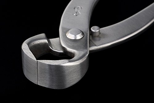 Tianbonsai JTS-20 Master Grade Bonsai Tools 215 Mm Root Cutter 5Cr15Mov Alloy Steel thumb #1