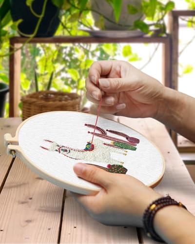 Image of TINDTOP Embroidery Kit for Adult Beginners, Embroidery DIY Starter Kit | 2 Pack with Alpaca Stamped Patterns, Hoop, Tools, Colorful Threads with Needles, Instructions