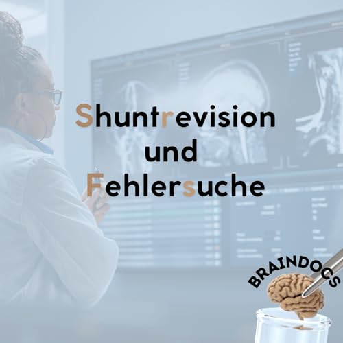 Shuntrevision und Fehlersuche
