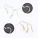 PASNOWFU 925 Sterling Silver Gold Earring Hooks 40 PCS, Jewelry Making DIY,Hypoallergenic Earring,with 40 PCS Earring Backs(20 Silver/20 Gold)