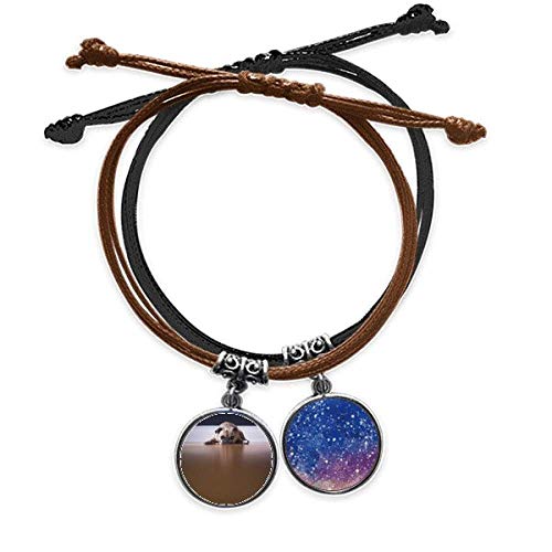 Pulsera de perro para habitacion y paseos con cadena de cuero trenzado