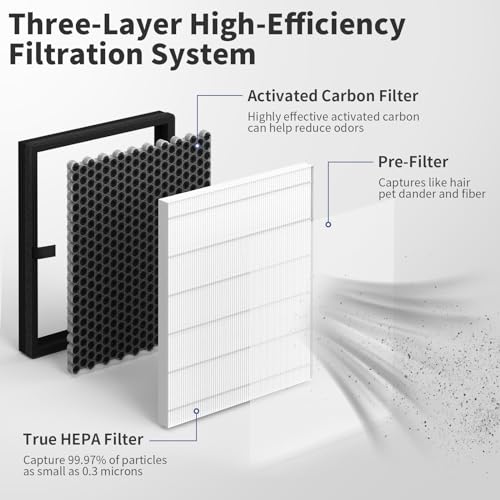 Image of 2-Pack E-200 Replacement Filter Compatible with Lunino E-200 Air Purifier, 3-in-1 Filtration, with Some Aromatherapy Tablets