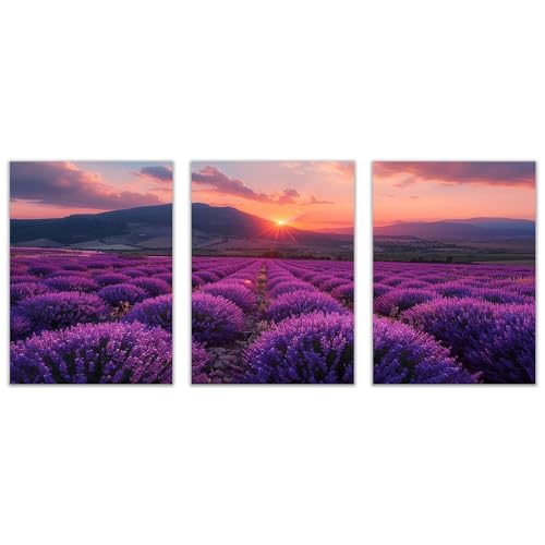Tableaux muraux salon et chambre triptyque toile fleurs violettes 50x70cm