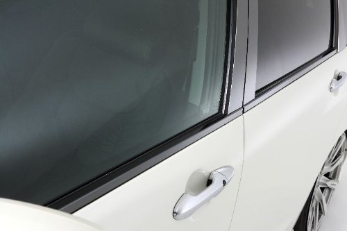 Amazon | ◇◇【最鏡面】T31エクストレイル ステンレスドアモール 鏡面