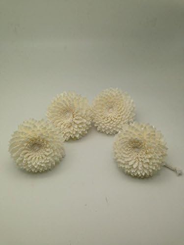 Diffuser Flowers Solar wood 7 cm Dia. with cotton rope made from natural.