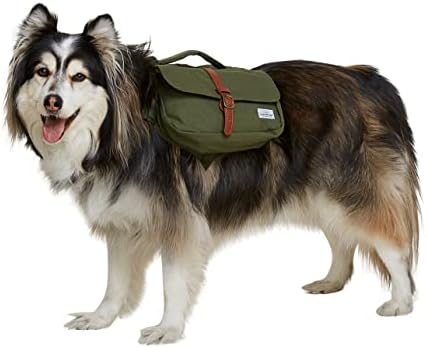 dog hiking service