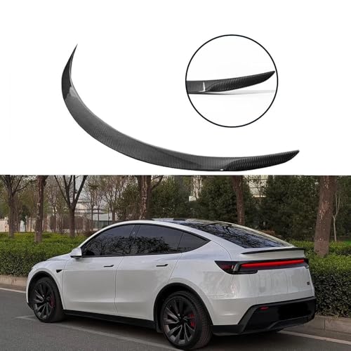 Becquet extérieur carbone pour Tesla Model 3 résistant aux UV et variations