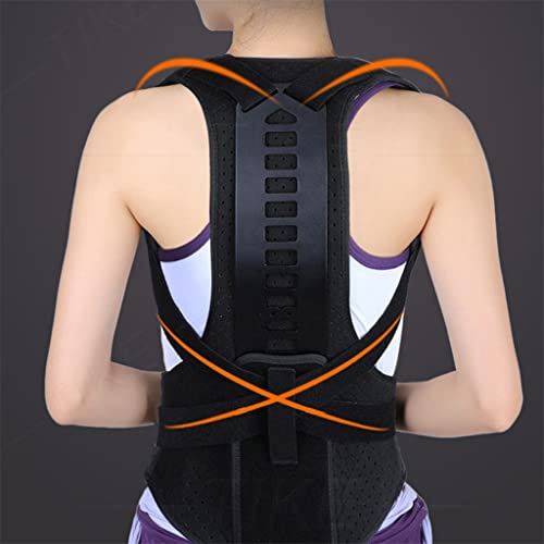 ҒŃobNT|[gu[XpPueB[GCW[񃉃o[T|[gXg[gi[ (F : ubNATCY : M R[h)