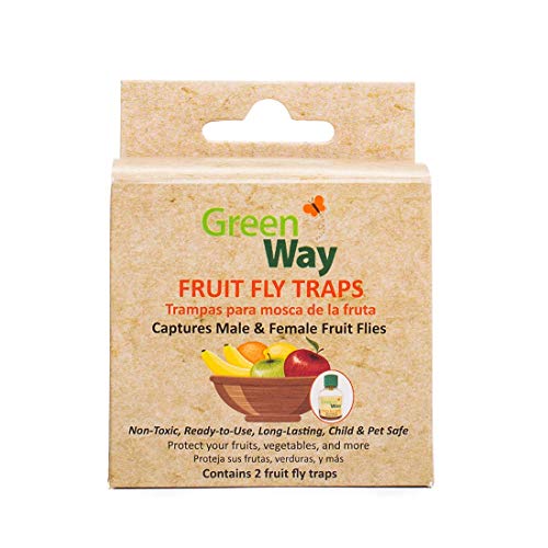 GreenWay Fruit Fly Trap (24 Bottles) | Natural Liquid Attractant, Ready to Use Bottles | Safe, Non-Toxic with No Insecticides or Odor, Eco Friendly, Kid and Pet Safe …