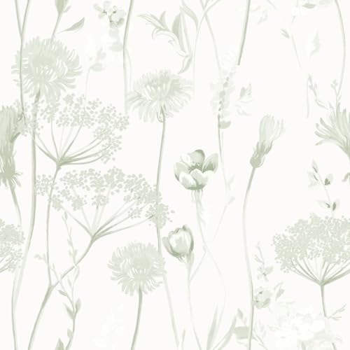Muriva Catherine Lansfield Meadowsweet Floral Themed Flower Siluette Romantic Wallpaper for Living Room Bedroom Hallway Feature Wall- Sage Green/White 165584