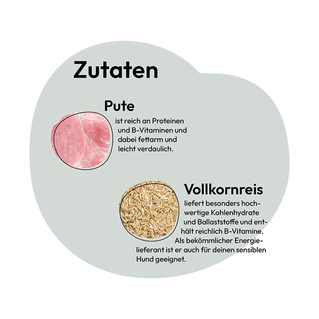 GRAU – das Original – Nassfutter für Hunde - Pute mit Vollkornreis, 6er Pack (6 x 800 g), Monoprotein, glutenfrei, für Erwachsene Hunde