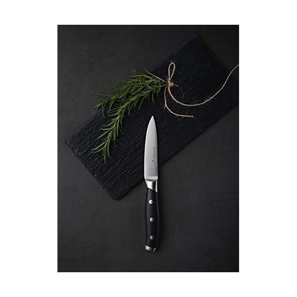 linoroso Paring Knife 3.5 inch Small Kitchen Knife with Elegant Gift