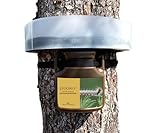 Trappola ecologica per Processionaria del pino PROCESAN L