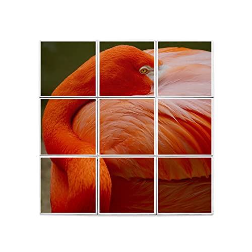 Carreaux Céramique Décoratif Flamand Rose 45x45 cm