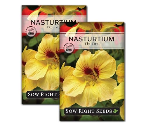 Sow Right Seeds - Tip Top Nasturtium Seed for Planting Edible Flowers 2pk