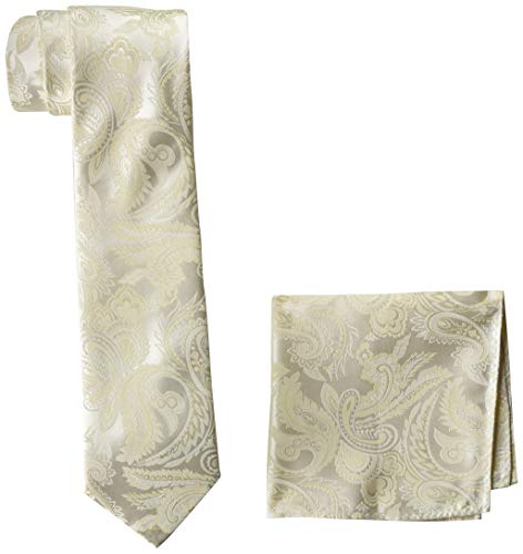 STACY ADAMS mens Classic Style Reg necktie, Bone, Regular US