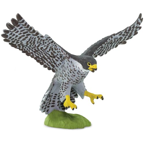Safari Ltd. Peregrine Falcon Figurine - Detailed 3.75' Wingspan Plastic Model Figure - Fun Educational Bird Play Toy for Boys, Girls & Kids Ages 3+