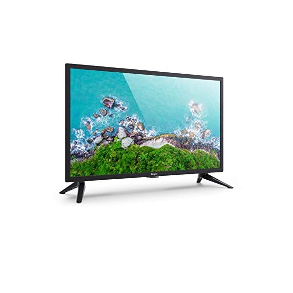 TV-Engel-LE2461T2-television-LED-de-24-resolucion-de-1366×768-px-conexiones-HDMI-USB-20-y-VGA-funciones-PVR-y-Time-Shift-Dolby-Digital-Plus