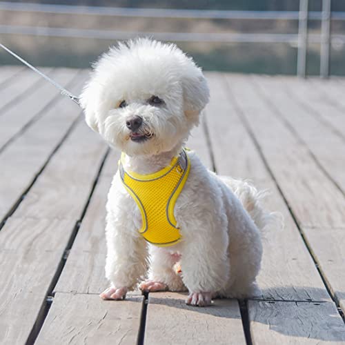 Cute Puppy Dog Harness And Leash Set, With Anti-Loss Pendant, Reflective No Pull Cat Vest, Soft Breathable Thin Mesh Pet Halter For Xxs Xs Small Medium Breed Dogs Female Male, Orange Xsmall #TOP5