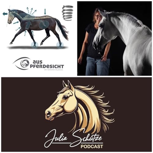 #186 Dr. SANDRA RUZICKA: Bewegungsmuster beim Pferd 04/26