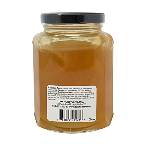 Cox Honeyland, miel en frasco de vidrio 16 onzas miniatura 3