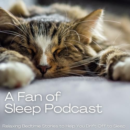 『A Fan of Sleep Podcast』のカバーアート