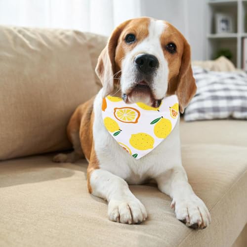 Lenço triangular para animais de estimação, lenço triangular para cães - Lenço bonito com estampa de