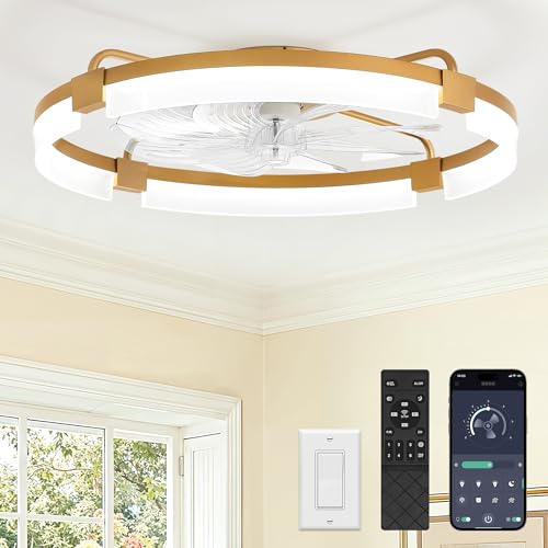 Image of LEDIARY 24 inch Ceiling Fans with Lights and Remote, Modern Low Profile Ceiling Fan, 3 CCT, Stepless Dimmable, Fandelier Flush Mount Fan Light, 6 Speeds, DC Motor, App & Remote Control for Bedroom(Gold)