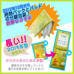 Amazon.co.jp: 「イェジ美人 40P」 [国内発送][佐川急便] よもぎ蒸し