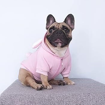 small dog easter outfits