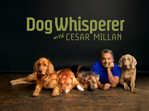 Dog Whisperer with Cesar Millan